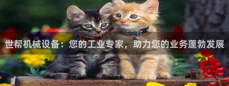杏盛平台登陆地址：世帮机械设备：您的工业专家，助力您的业务蓬勃发展