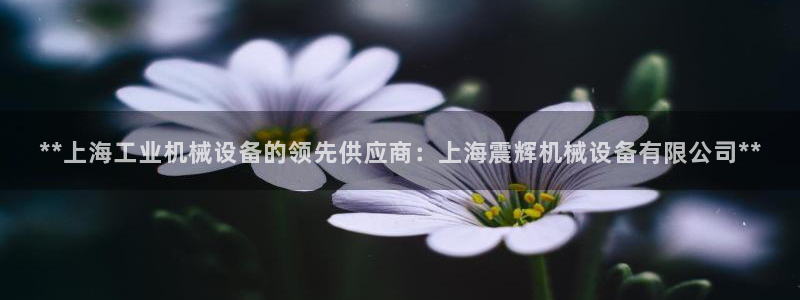 杏盛平台注册登录：**上海工业机械设备的领先供应商：上海震辉机械设备有限公司**