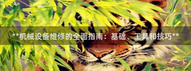 杏盛平台登陆地址：**机械设备维修的全面指南：基础、工具和技巧**