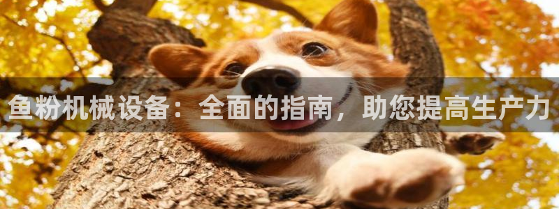 杏盛平台官网：鱼粉机械设备：全面的指南，助您提高生产力