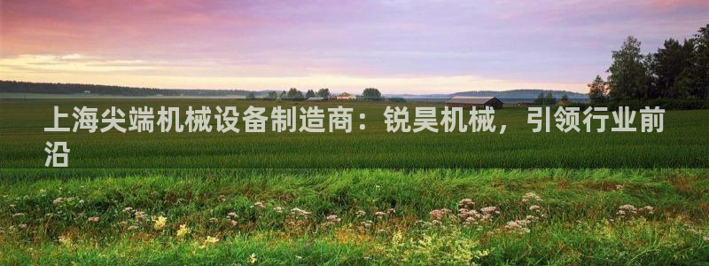 杏盛娱乐代理：上海尖端机械设备制造商：锐昊机械，引领行业前
沿