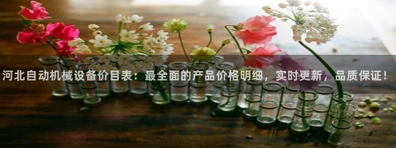 杏盛平台开户：河北自动机械设备价目表：最全面的产品价格明细，实时更新，品质保证！