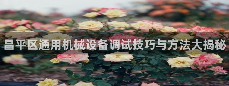 杏盛主管：昌平区通用机械设备调试技巧与方法大揭秘