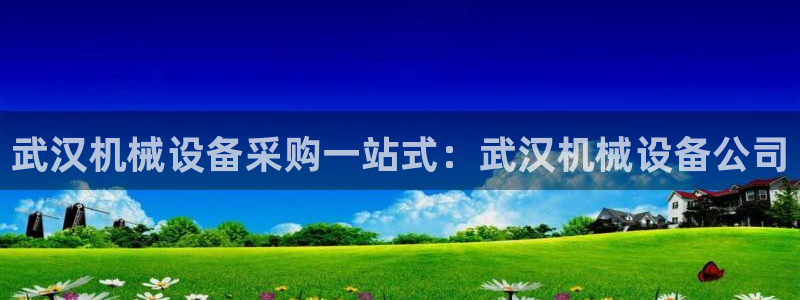 杏盛东24 35 53：武汉机械设备采购一站式：武汉机械设备公司