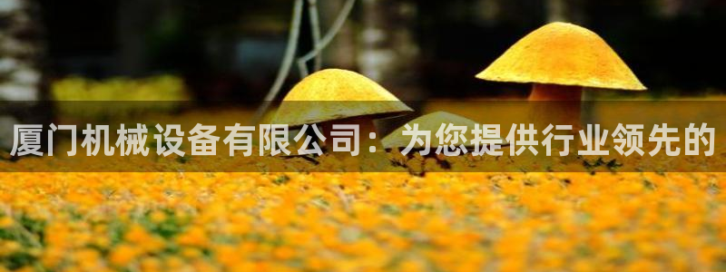 杏盛平台主管：厦门机械设备有限公司：为您提供行业领先的