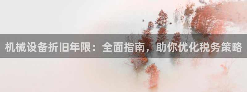 杏盛平台开户：机械设备折旧年限：全面指南，助你优化税务策略