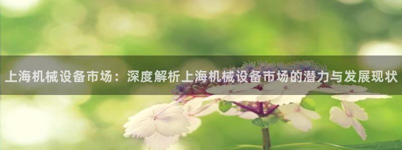 杏盛代理：上海机械设备市场：深度解析上海机械设备市场的潜力与发展现状