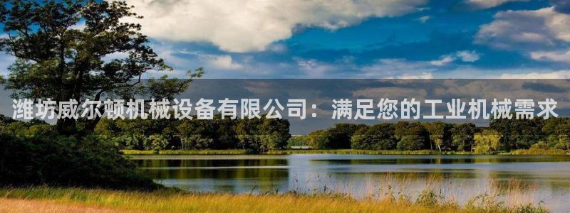 杏盛平台代理：潍坊威尔顿机械设备有限公司：满足您的工业机械需求