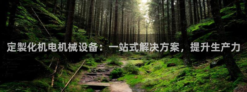 杏盛平台上级：定製化机电机械设备：一站式解决方案，提升生产力