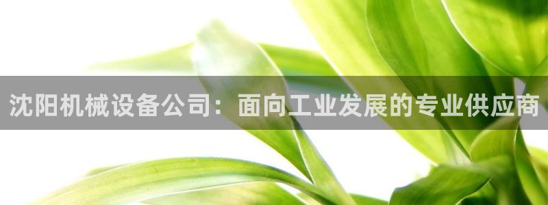 杏盛平台上级：沈阳机械设备公司：面向工业发展的专业供应商