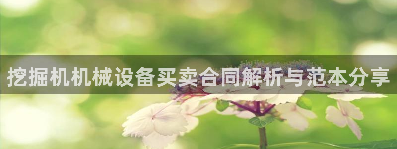 杏盛乐岳35994誓：挖掘机机械设备买卖合同解析与范本分享