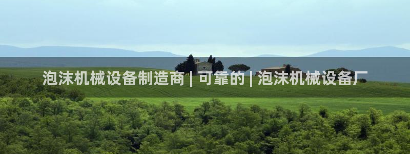 杏盛主管：泡沫机械设备制造商 | 可靠的 | 泡沫机械设备厂