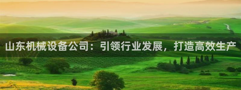 杏盛平台主管：山东机械设备公司：引领行业发展，打造高效生产