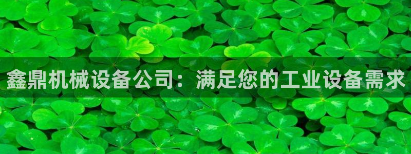 杏盛平台官网注册：鑫鼎机械设备公司：满足