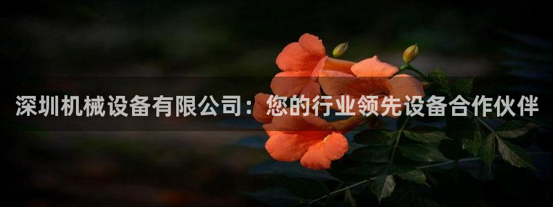 杏盛平台登陆：深圳机械设备有限公司：您的