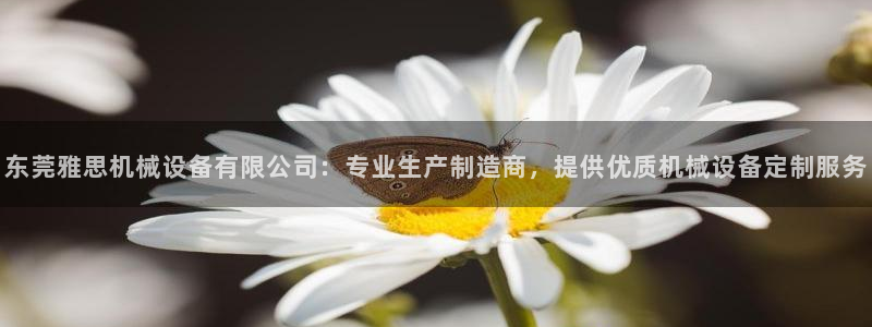 杏盛代理：东莞雅思机械设备有限公司：专业生产制造商，提供优质机械设备定制服务