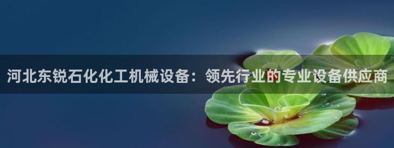 杏盛娱乐代理：河北东锐石化化工机械设备：领先行业的专业设备供应商