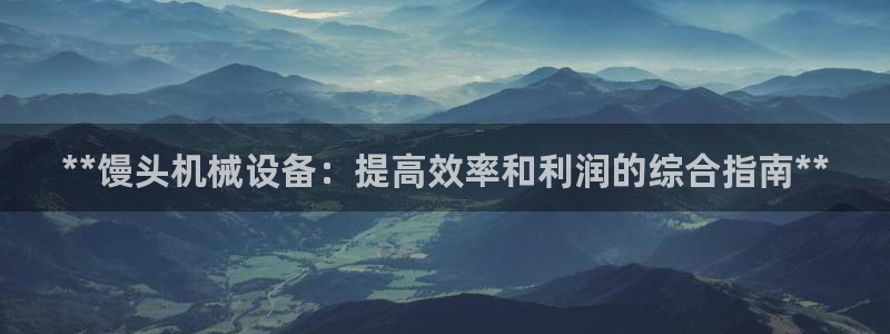 杏盛平台登陆：**馒头机械设备：提高效率和利润的综合指南**