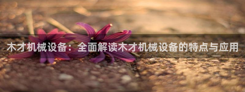 杏盛平台