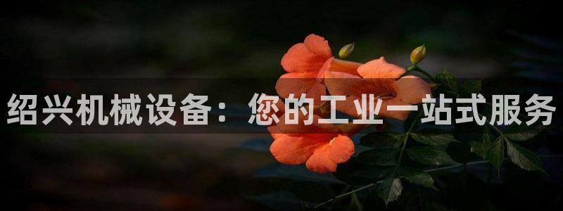 杏盛代理：绍兴机械设备：您的工业一站式服务