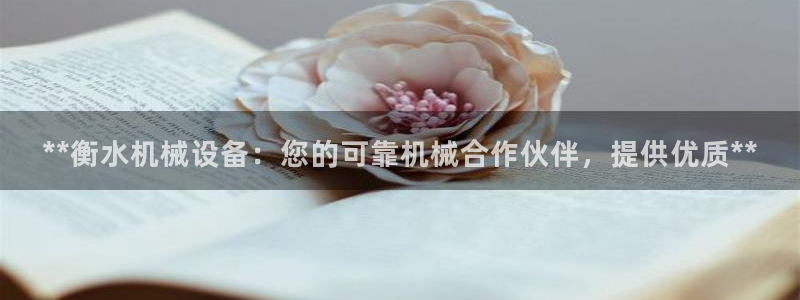 杏盛app下载：**衡水机械设备：您的可靠机械合作伙伴，提供优质**