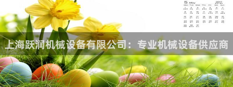 杏盛平台代理注册：上海跃润机械设备有限公