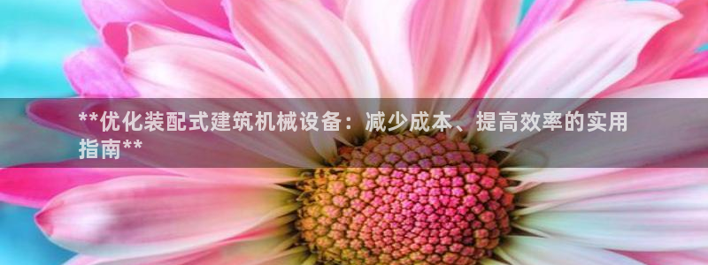 杏盛平台代理：**优化装配式建筑机械设备