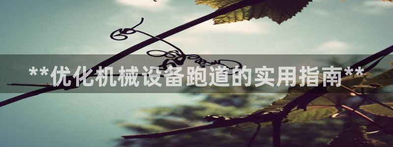 杏盛注册登录：**优化机械设备跑道的实用指南**