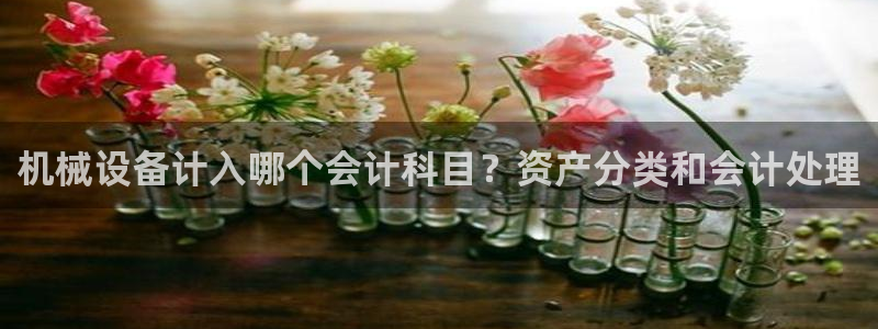 杏盛app下载：机械设备计入哪个会计科目
