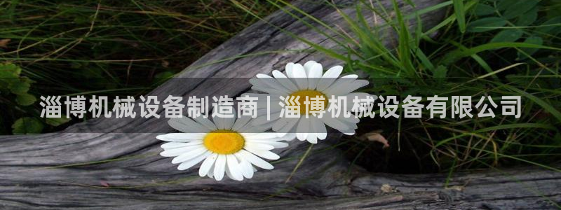杏盛平台登陆：淄博机械设备制造商 | 淄