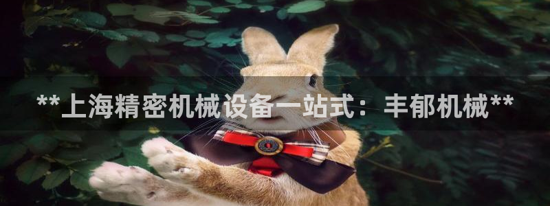 杏盛平台登录：**上海精密机械设备一站式