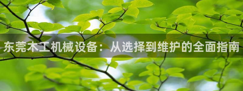 杏盛平台代理注册：东莞木工机械设备：从选