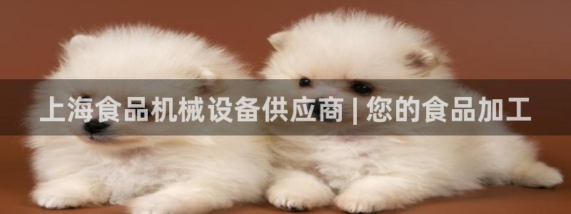 杏盛注册登录：上海食品机械设备供应商 |