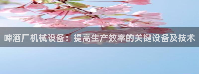 杏盛官网登录：啤酒厂机械设备：提高生产效